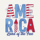 America Patterns Motley Slub Tee